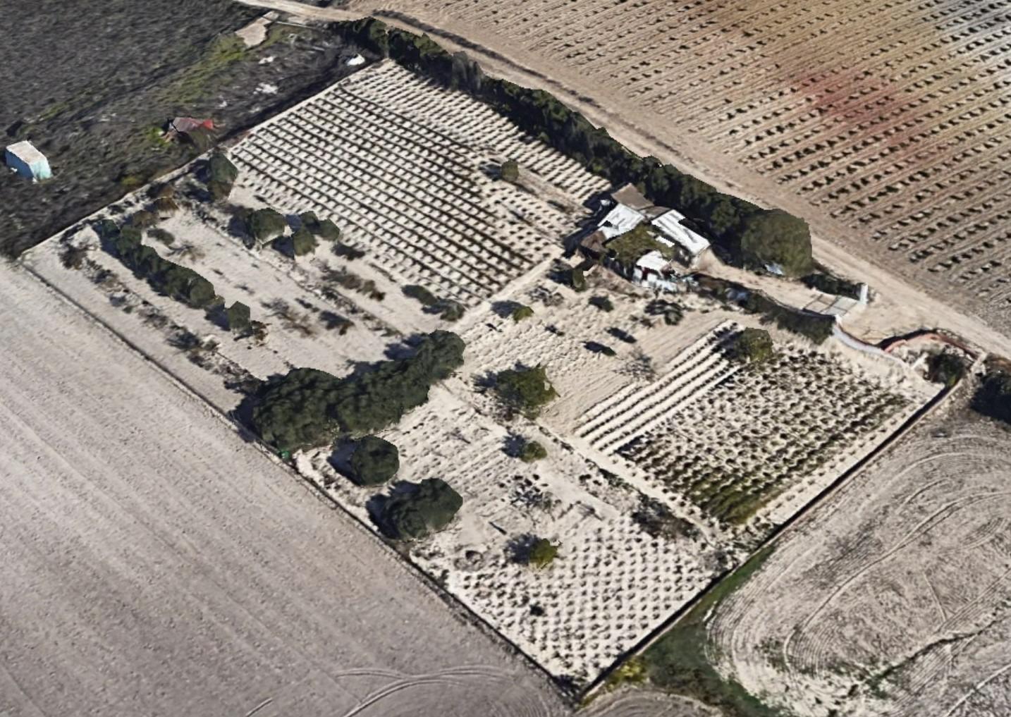 ¡Oportunidad única! Parcela SEGREGADA de 4.272 m² en Chiclana de la Frontera – Zona Miralamar